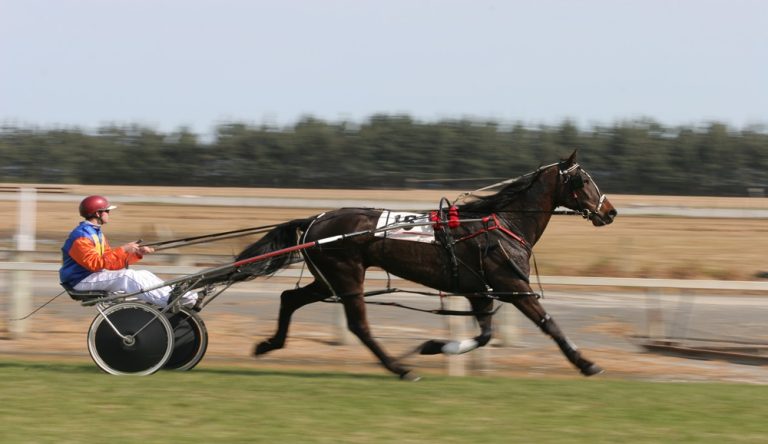 Elise Gran Premio Presidente della Repubblica