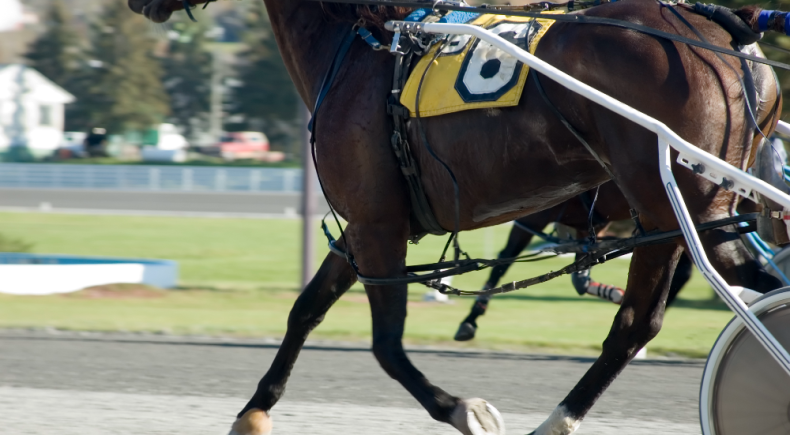 Gran Premio Ivone Grassetto