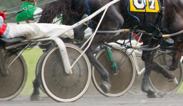 Gran Premio Unione Europea