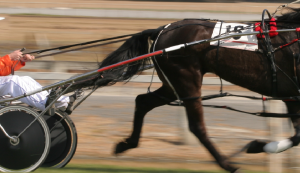 Presidente della Repubblica