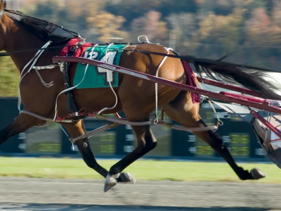 Gran Premio Due Mari