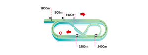 mappa ippodromo teste de buch