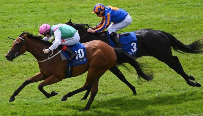 Cavalli in azione al Curragh durante Phoenix Stakes