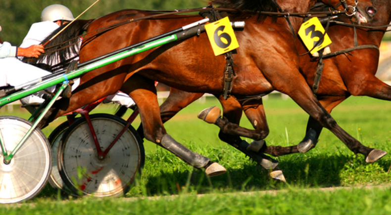 Gran Premio Marche