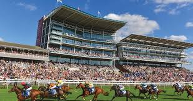 Cavalli al Juddmonte International Stakes