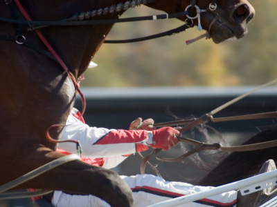 Gran Premio Continentale_