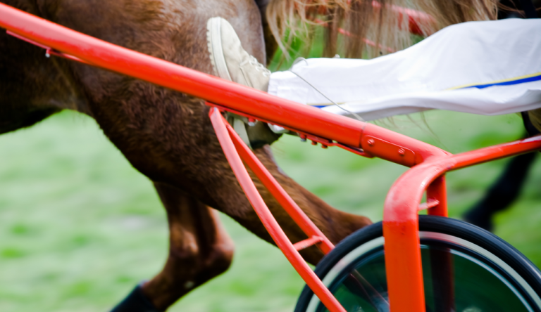 Gran Premio orsi Mangelli