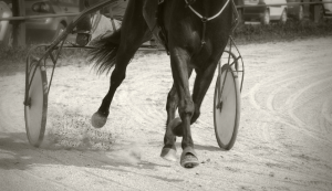 Gran Premio Mediterraneo
