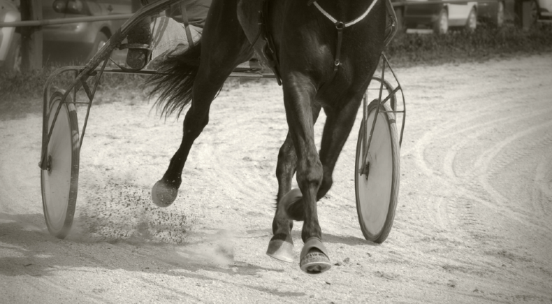 Gran Premio Mediterraneo