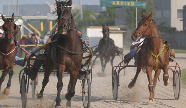 Gran Premio di Capitanata