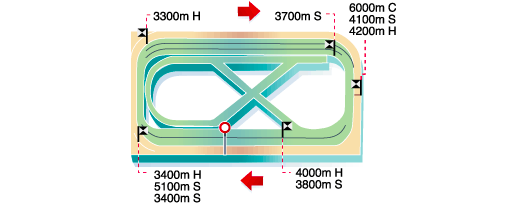 Pau track