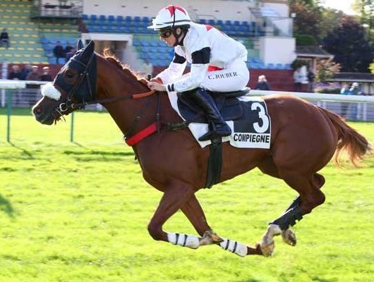 Saly D'Oroux