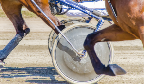 Gran Premio Allevatori-Masaf