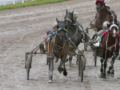 Gran Premio Firenze