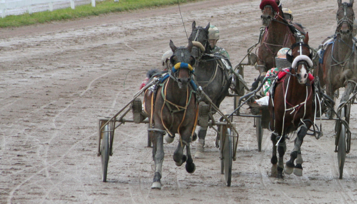 Gran Premio Firenze