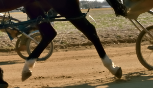 Gran Premio Città di Padova