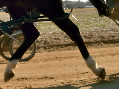 Gran Premio Città di Padova