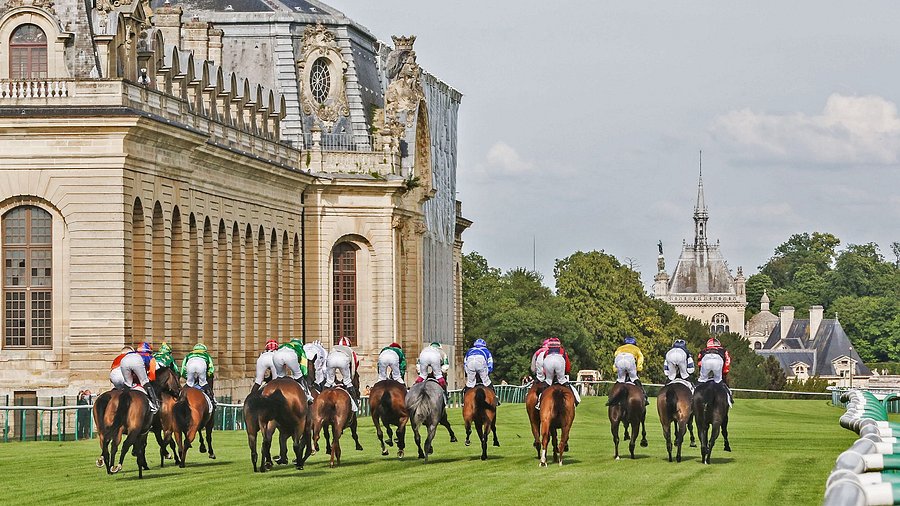 Chantilly (FRA), 19/05/26: 1200 metri Prix Texanita (G3) con 7 cavalli al via su terreno morbido
