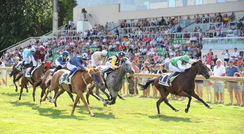 Salon de Provence