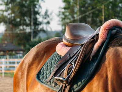 scelta della sella adatta per il tuo cavallo