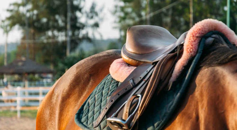 scelta della sella adatta per il tuo cavallo