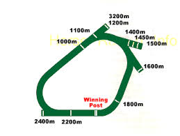 ascot tracciato