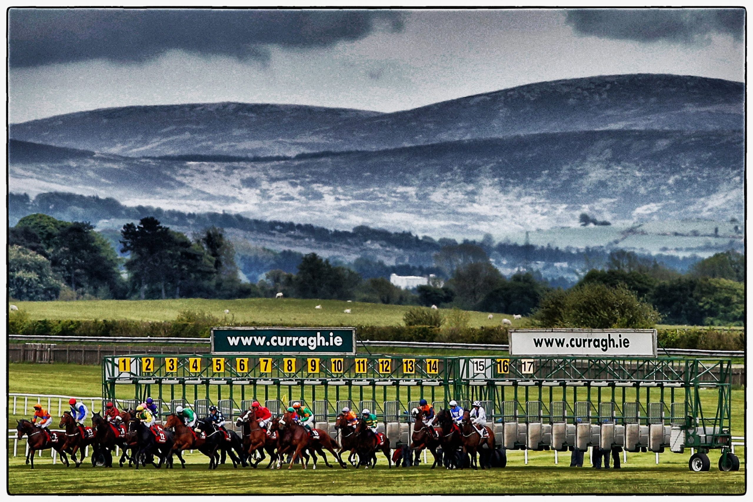 Anteprima Pretty Polly Stakes (G1) del 23/06 al Curragh sui 2000 metri per femmine 3yo+