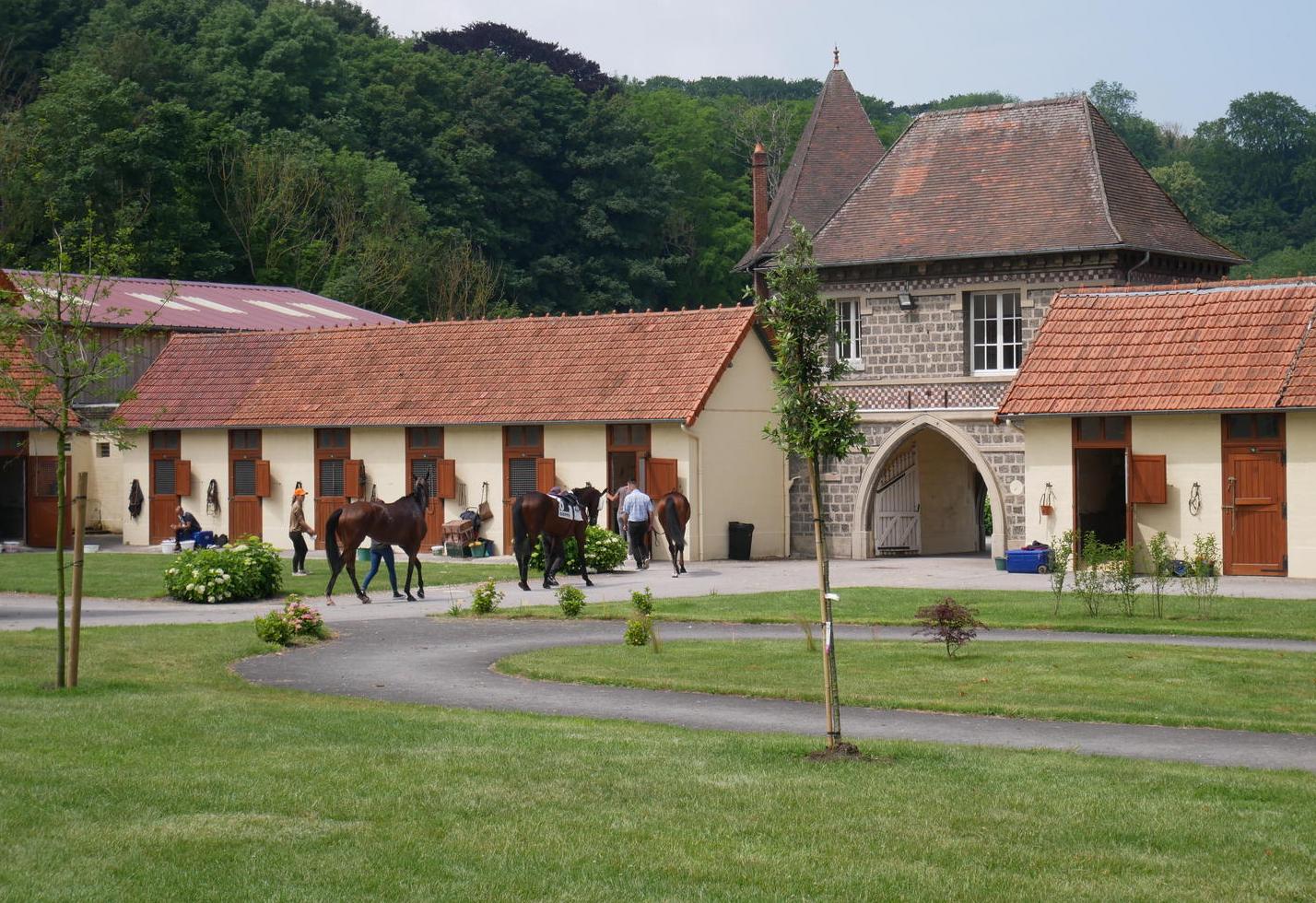 Dieppe (FRA) 23/06, Prix du Bois de Morville: 1100 metri per 16 partenti. Favorito è Reminisce