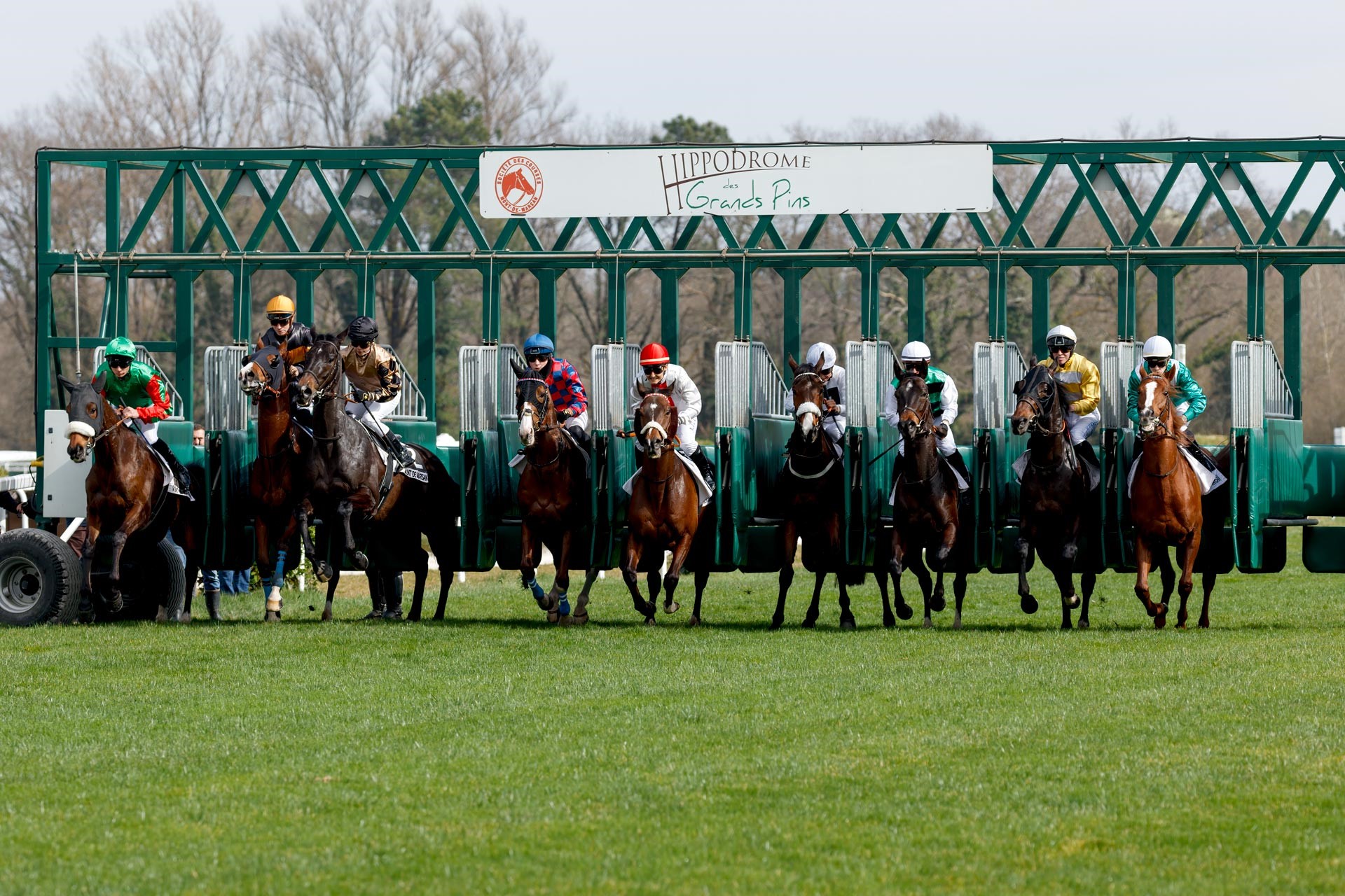 MONT DE MARSAN [FRA] 29/07: riunione con psi e psa. Analisi delle corse e pronostici.