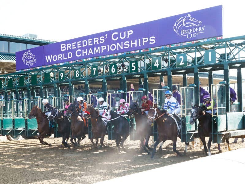 Anteprima Breeders’ Cup Classic (USA): si corre il 31 ottobre 2026 a Keeneland
