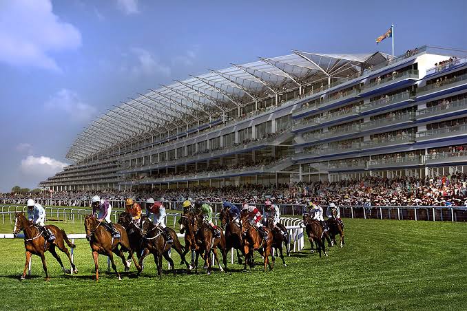 Anteprima Ascot (UK), British Champions Long Distance Cup: si corre il 17/10/2026